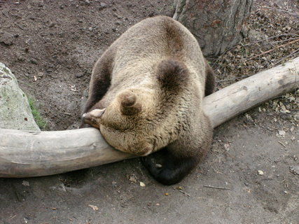 FOTKA - Stockholm - Skansen