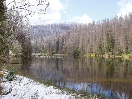 FOTKA - Zaarovan jezero Laka