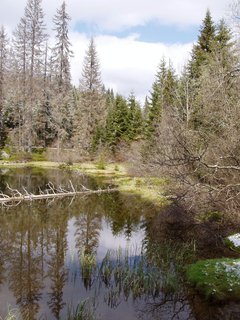 FOTKA - Zaarovan jezero Laka