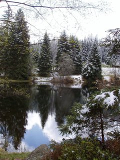 FOTKA - Zaarovan jezero Laka