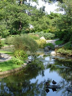 FOTKA - Bergianska botanick zahrada