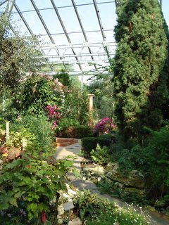 FOTKA - Bergianska botanick zahrada
