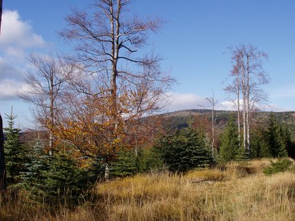 FOTKA - Jizersk hory - Do zaniklch sklskch osad