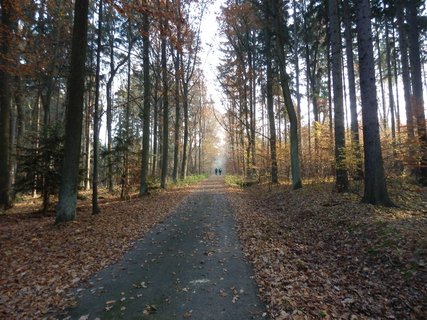 FOTKA - Dole u Kocby, kukaly dv by....