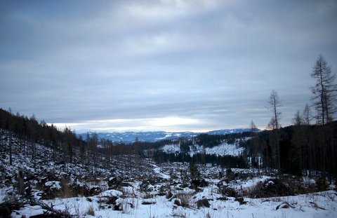 FOTKA - Loni v zim ve Vysokch Tatrch