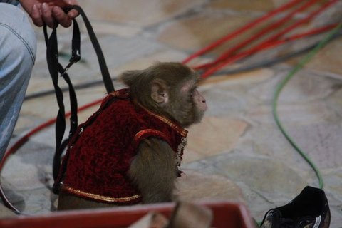 FOTKA - Zkouky galaprogramu Silvestr na pli jsou v plnm proudu