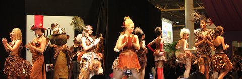 FOTKA - Salon du Chocolat 2011: okolda vude, kam se podv