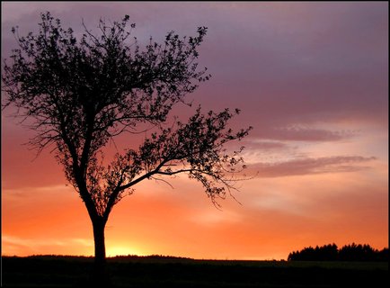 FOTKA - Fotografovnm k vnmu mld  vchody a zpady slunce