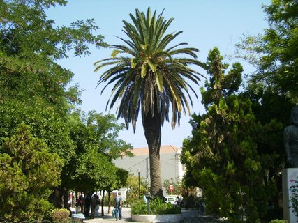 FOTKA - Dovolen na Krt - Rethymno, Bali