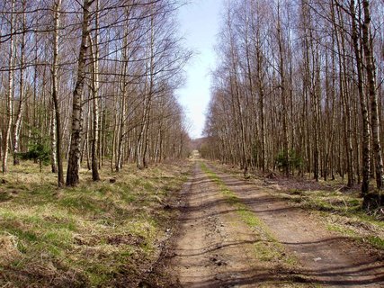 FOTKA - Naun stezka Bezina - Kostomlaty pod Mileovkou