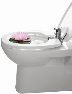 FOTKA - Modern bidet: hygiena i v mal koupeln