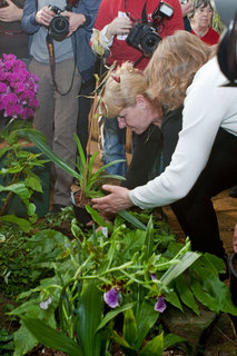 FOTKA - Marie Rottrov zahjila vstavu orchidej v Botanick zahrad v Troji