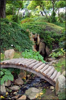 FOTKA - Botanick zahrada Praha  Jarn novinky
