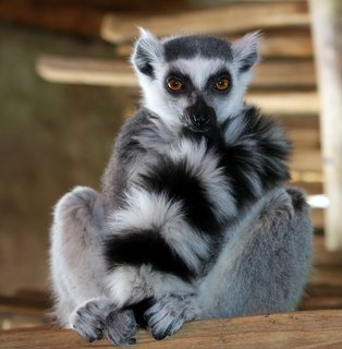 FOTKA - Navtivte o jarnch przdninch ZOO Jihlava