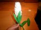 Vyrob si sama - Hyacinty z krepovho papru