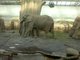 Zoologick zahrada Dvr Krlov