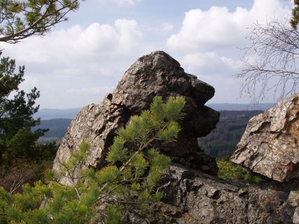 FOTKA - Za medvdy do Berouna