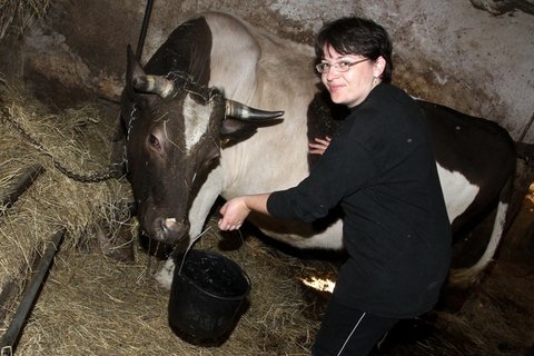 FOTKA - Farm hled enu  Zabijaka, vlety, hdky i polibky