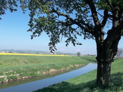 FOTKA - Rozhledna Javornk u Velk nad Velikou