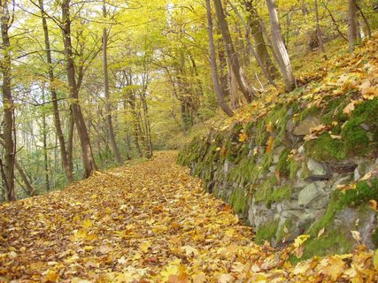 FOTKA - Hrad Kivoklt a vychzkov okruhy v okol