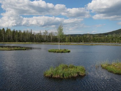 FOTKA - umavsk slat