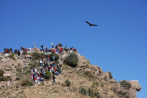 FOTKA - El Condor Pasa aneb leteck den