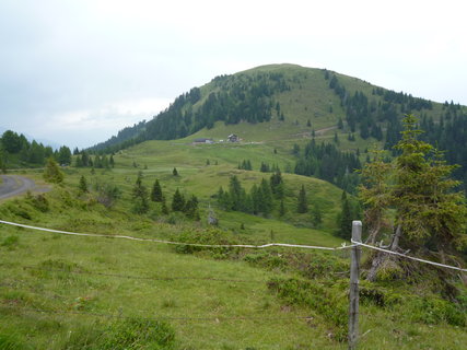 FOTKA - K Jadranu pes alpsk pastviny