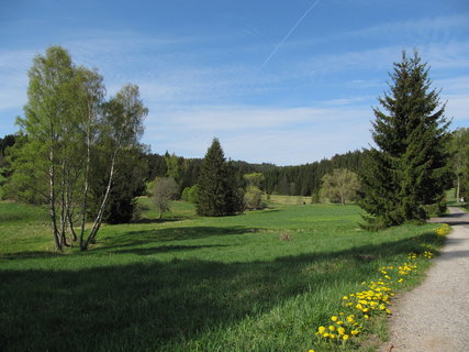 FOTKA - Nejkrsnj msta umavy: Polka a okol