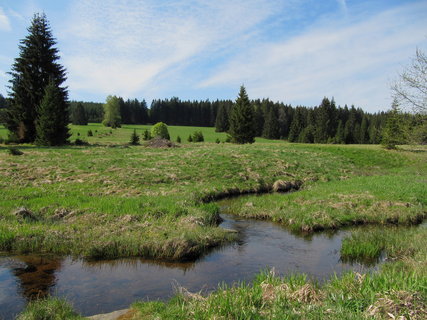 FOTKA - Nejkrsnj msta umavy: Polka a okol