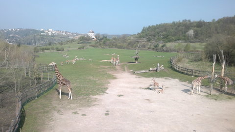 FOTKA - Prask Zoo a Trojsk zmek