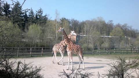 FOTKA - Prask Zoo a Trojsk zmek