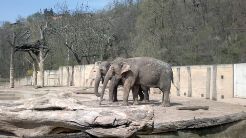 FOTKA - Prask Zoo a Trojsk zmek