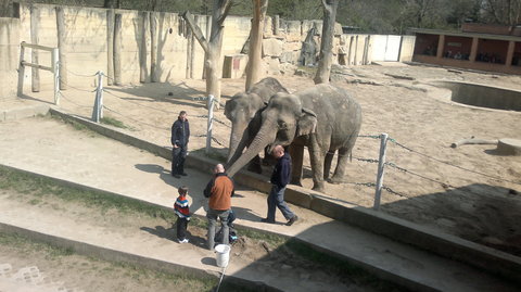 FOTKA - Prask Zoo a Trojsk zmek