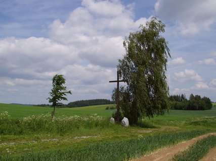 FOTKA - Vlet po stopch bitvy u Jankova