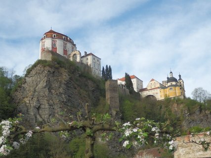 FOTKA - Podyj - pestr mozaika krs II. - z Lesn pes Ledov sluje