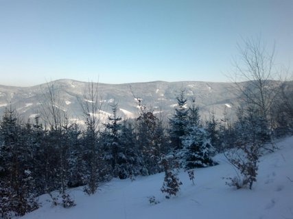 FOTKA - Travn - hora v Moravskoslezskch Beskydech