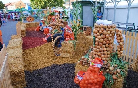 FOTKA - Tradin Cibulov slavnosti a relaxace v termlnch lznch Laa