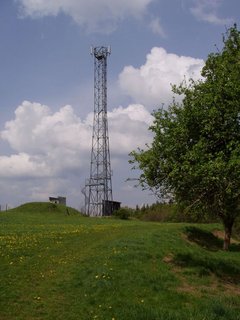 FOTKA - estice u Volyn