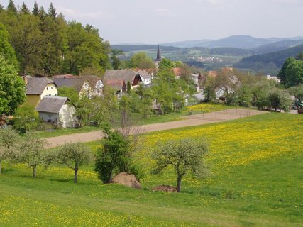 FOTKA - estice u Volyn