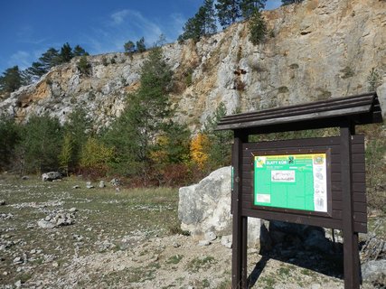 FOTKA - Zlat k a Kobyla