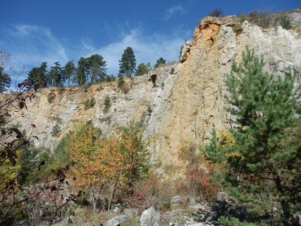 FOTKA - Zlat k a Kobyla