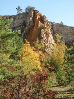 FOTKA - Zlat k a Kobyla