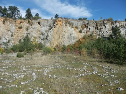 FOTKA - Zlat k a Kobyla