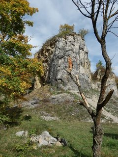 FOTKA - Zlat k a Kobyla