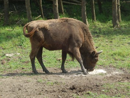 FOTKA - Cyklotoulky mezi Putim a Protivnem