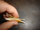 Vyrob si sama: Tea Bag Folding
