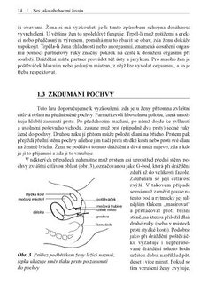 FOTKA - Stanislav Kratochvl - Sex jako obohacen ivota