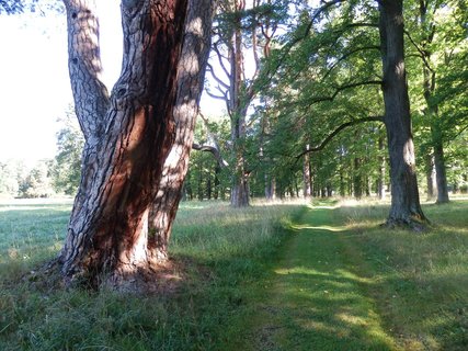 FOTKA - erven Dvr - zajmav park pod Klet