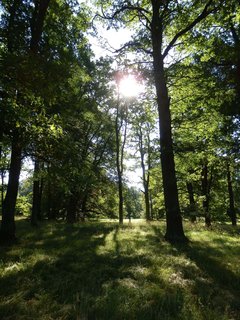 FOTKA - erven Dvr - zajmav park pod Klet