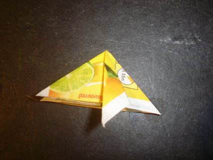 FOTKA - Vyrob si sama: Tea Bag Folding